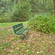 Bench Overlooking Pine Quarry Poster