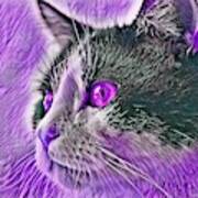 Big Head Tuxedo Cat Purple Eyes Poster
