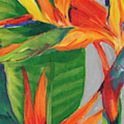 Bird Of Paradise Triptych Ii Poster