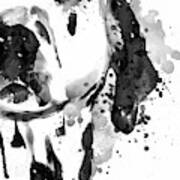 Black And White Half Faced Dalmatian Dog Poster