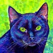 Black Cat With Chartreuse Eyes Poster