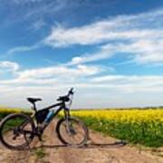 Black Male Bike On Blooming Yellow Poster