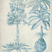 Blue Fresco Floral I Poster