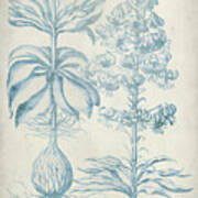 Blue Fresco Floral Ii Poster