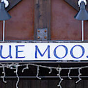 Blue Moose Poster