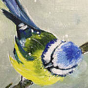 Blue Tit In Snow Poster