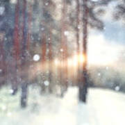Blurred Background Forest Snow Winter Poster
