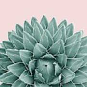 Blush Green Agave Chic #1 #succulent #decor #art Poster