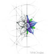 Intuitive Geometry Borage Flower Poster
