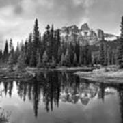 Boreal Forest Reflections Alberta Poster