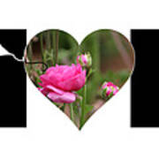 Boy Silhouette And Pink Ranunculus In Heart Mom Big Letter Poster