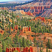 Bryce Canyon Hoodoos Mountain Range Trees Vista Greens Red Rocks 6524 Poster