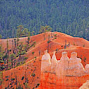 Bryce Canyon Red Rock Hoodoos Trees Mountains 6559 Poster
