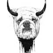 Bull Dog Poster