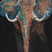 Bull Elephant Poster