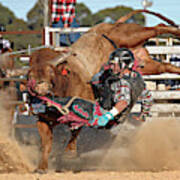 Bull Ride Poster