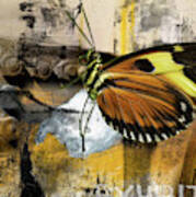 Butterfly Art Exhibit Poster