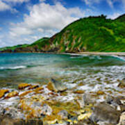 Carambola Tide Pools Poster