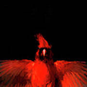 Cardinal Drama Poster