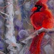 Cardinal In The Snow Poster