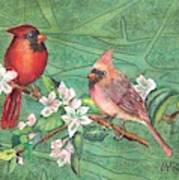 Cardinals And Blossoms Poster