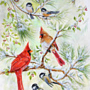 Cardinals And Chickadees Poster