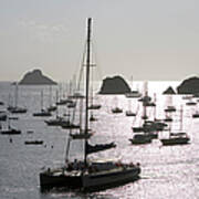 Catamaran And Yachts At Anchor, Near Poster