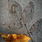 Cement Autumn 1295 Poster