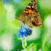 Chalky Painted Lady Butterfly Poster