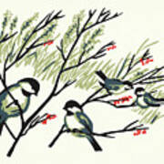Chickadees In Tree Branches Poster