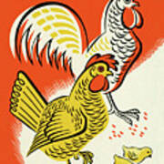 Chicken, Rooster And Baby Chicks Poster