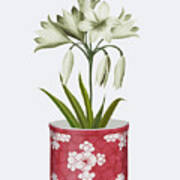 Chinoiserie Amaryllis White, Red Vase Poster