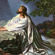 Christ In Garden Of Gethsemane Poster