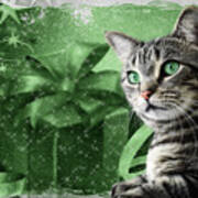 Christmas Silver Tabby Cat With Green Poster