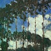 Claude Monet / 'poplars On The Epte', 1891, Oil On Canvas, 92.4 X 73.7 Cm. Poster