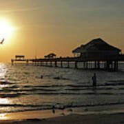 Clearwater Florida Sunset At The Pier Fl Seagull Poster