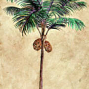 Coconut Tribal Palm Ii Poster