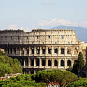Coliseum In Rome Poster