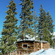 Colorado Mountain Small Log Cabin Poster