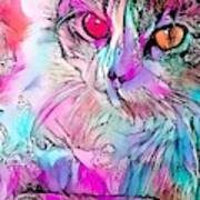 Colorful Content Cat Wild Eyes Poster