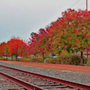 Colorful Fall Along The Railroad, Cupertino Poster