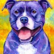 Peppy Purple Pitbull Terrier Dog Poster