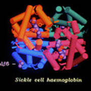 Computer Graphics Of Sickle Cell Haemoglobin Poster