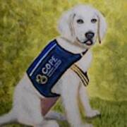 Cope Service Dog Labrador Poster