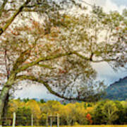 Country Mountain Lane At Cades Cove Poster