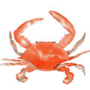 Crab Poster