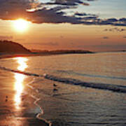 Crane Beach Sunset Ipswich Ma Seagull Poster