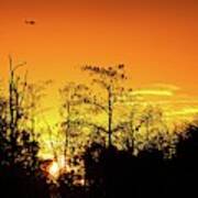 Cypress Swamp Sunset 3 Poster