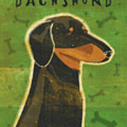 Dachshund (black And Tan) Poster
