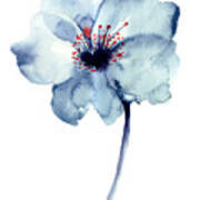 Decorative Blue Flower Watercolor Poster